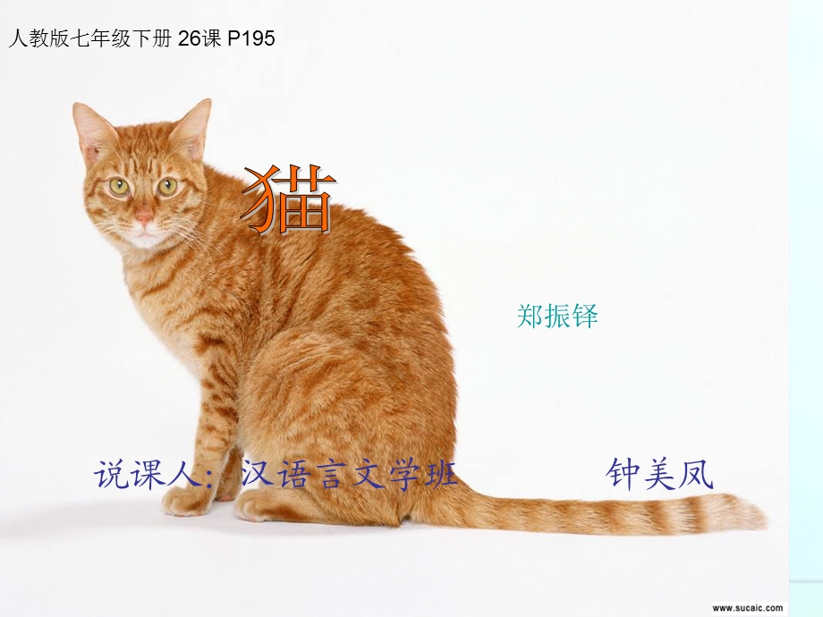 《猫》说课的PPT课件.ppt_第2页