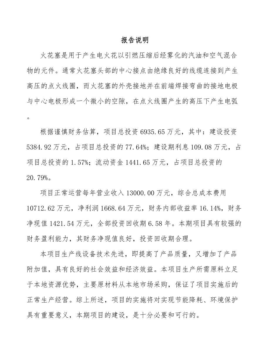 南通火花塞项目可行性研究报告.docx_第1页