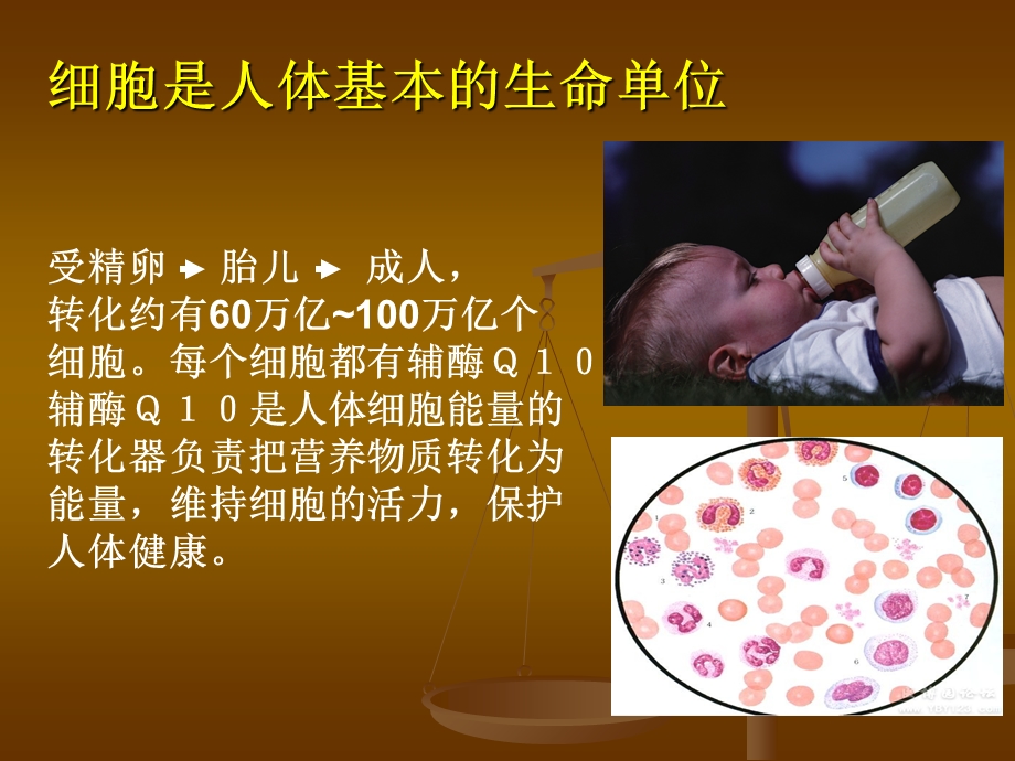 《紫光辅酶酶》PPT课件.ppt_第3页