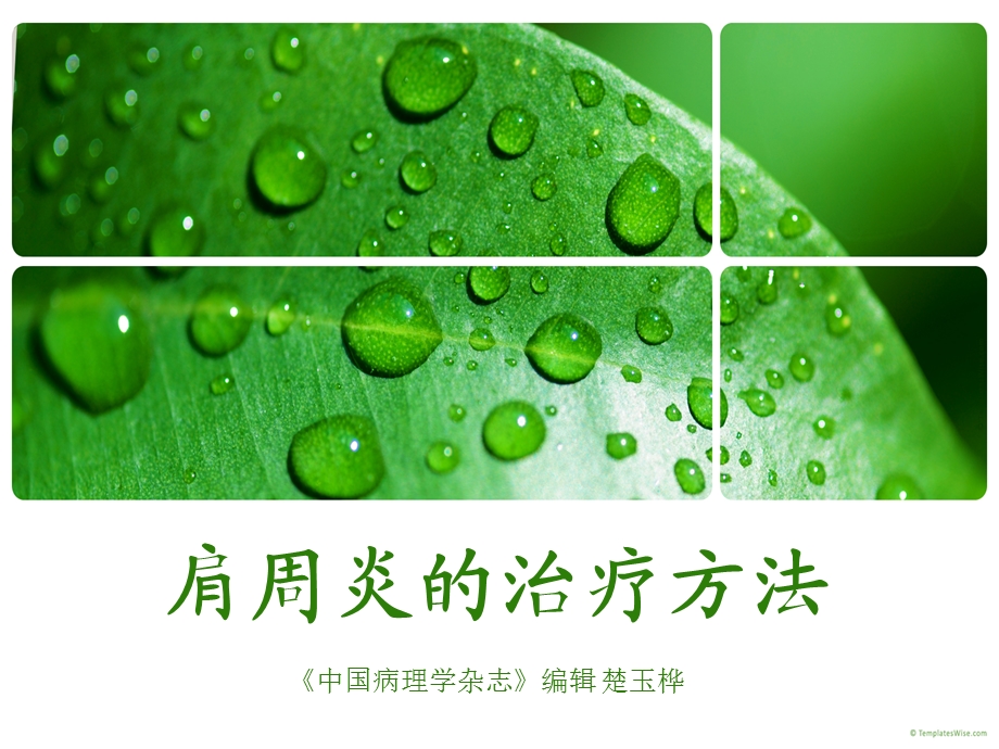 肩周炎的治疗方法.ppt_第1页