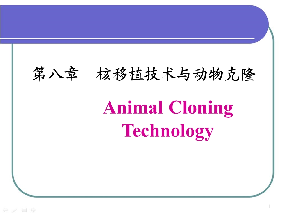 第八章核移植与动物克隆细胞工程.ppt_第1页