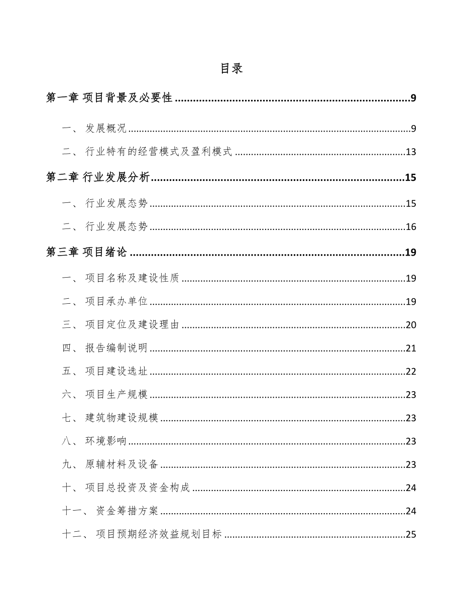 南通汽车显示设备项目可行性研究报告.docx_第2页