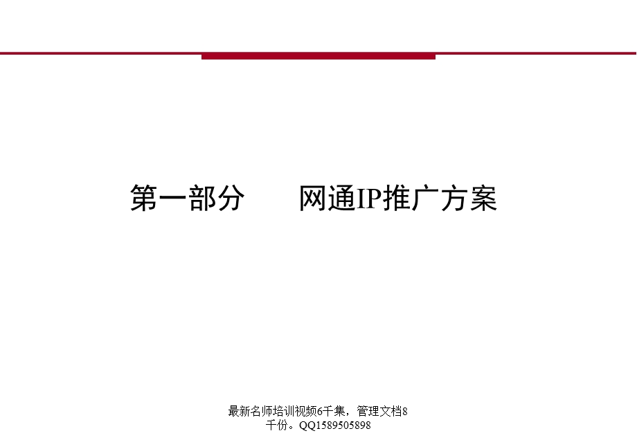 (简体)23网通IP推广策划方案.ppt_第2页