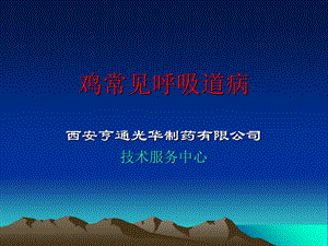 《鸡的呼吸道病》PPT课件.ppt