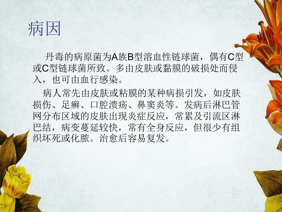 丹毒患者的个案护理.ppt_第3页