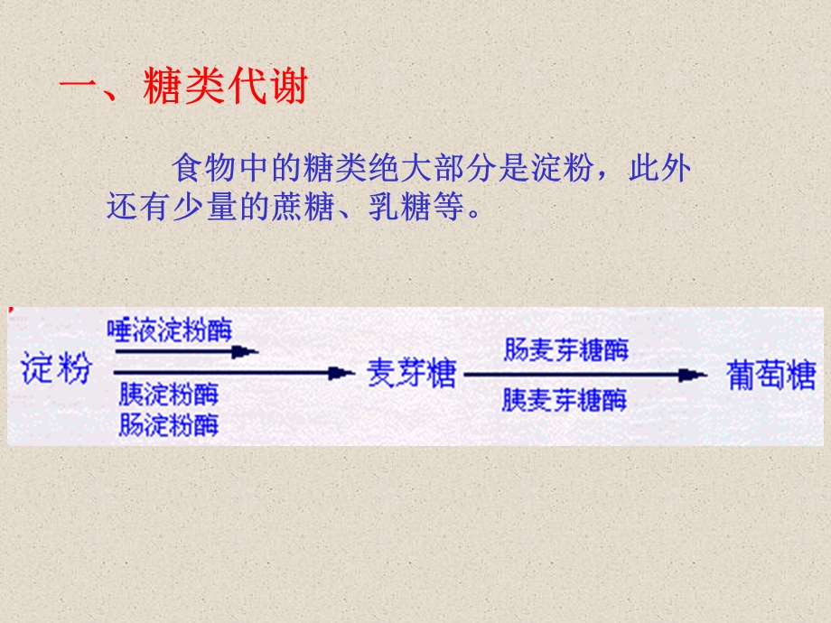 第六节人和动物体内三大营养物质的代谢.ppt_第3页