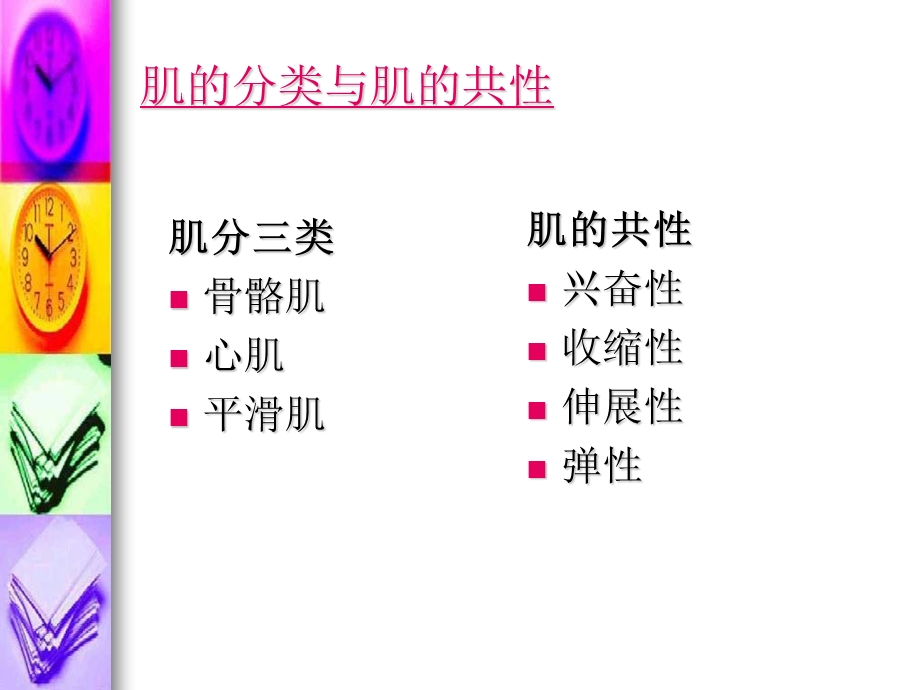 《肌的生物学基础》PPT课件.ppt_第2页