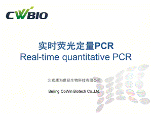 荧光定量.ppt