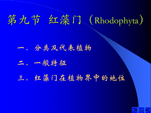 【教学课件】第九节红藻门(Rhodophyta).ppt