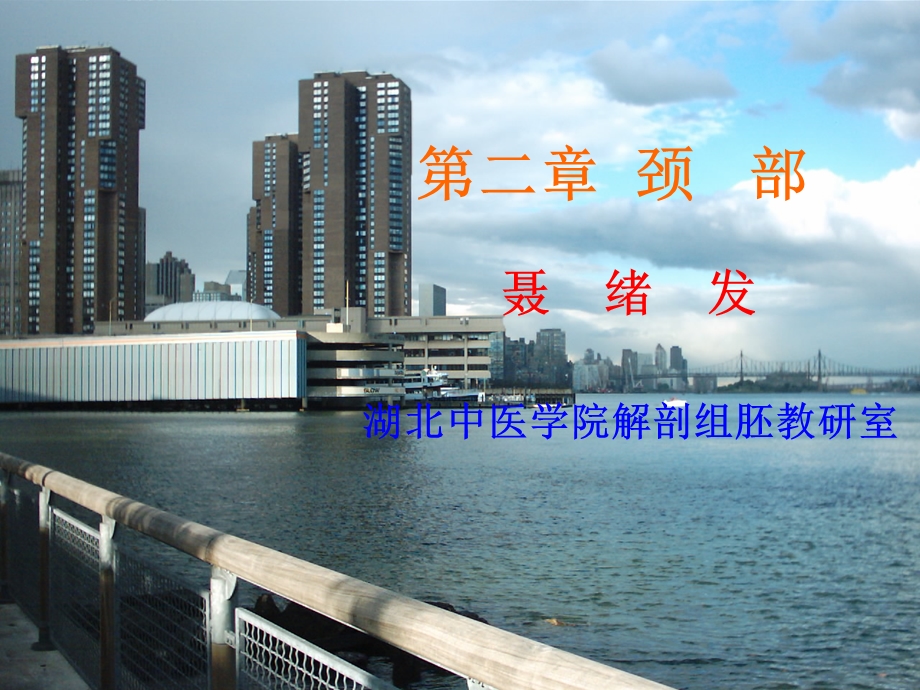 《颈部精细解剖》PPT课件.ppt_第1页