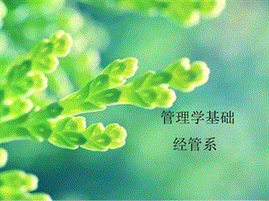 《管理学说课》PPT课件.ppt