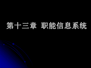 【教学课件】第十三章职能信息系统.ppt