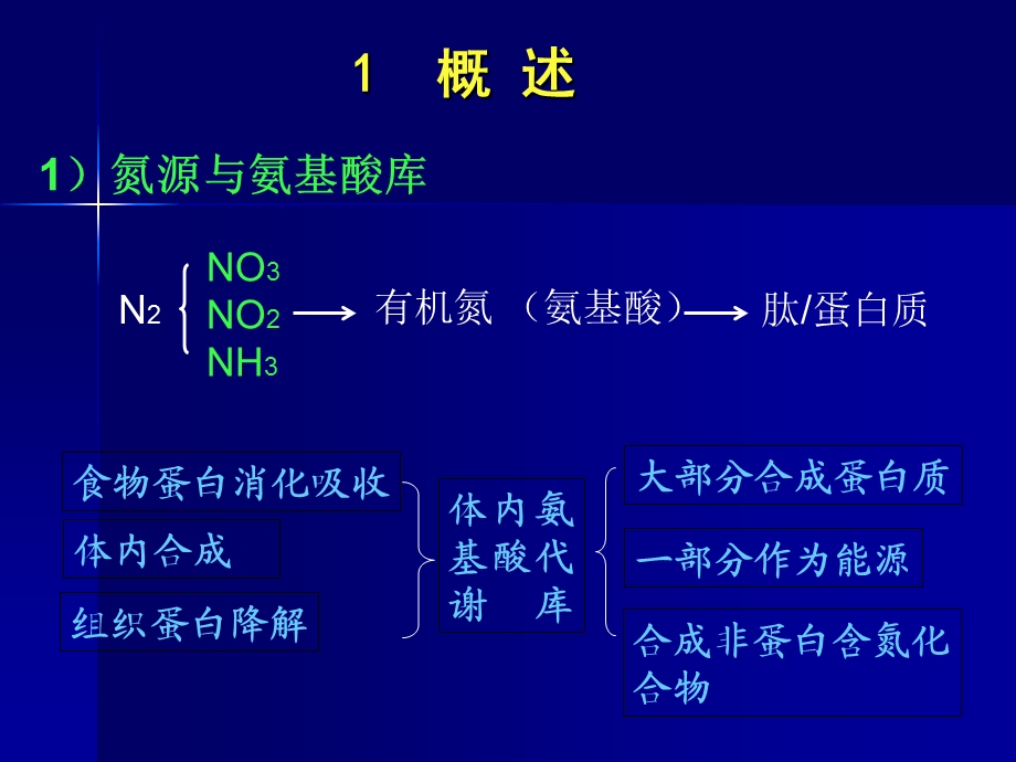 【教学课件】第九章氨基酸代谢.ppt_第2页