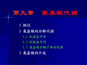 【教学课件】第九章氨基酸代谢.ppt