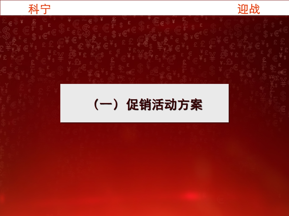 《科宁促销方案》PPT课件.ppt_第3页