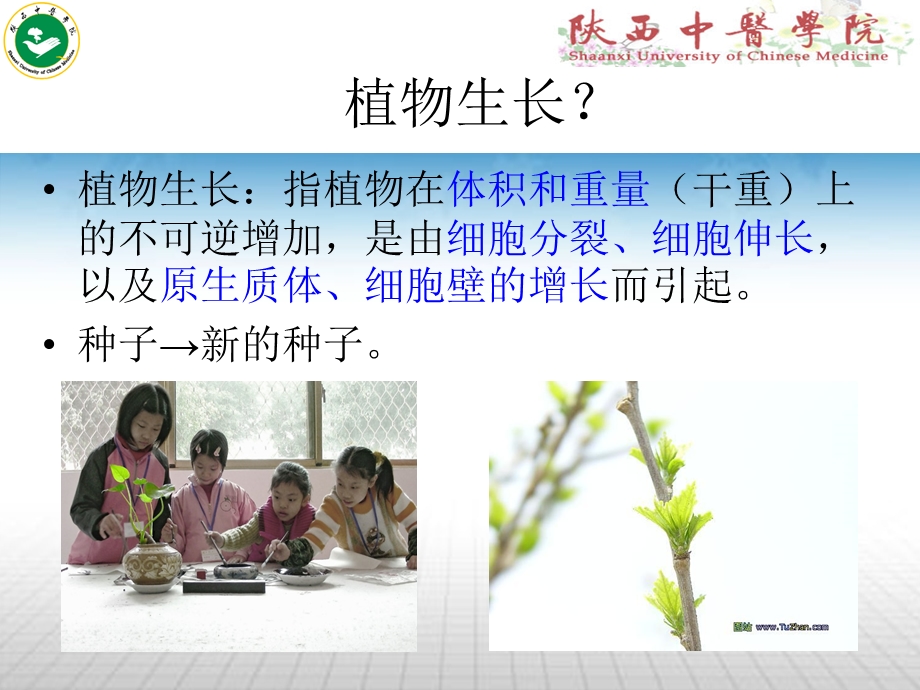 第三讲药用植物的生长与发育 ppt课件.ppt_第3页