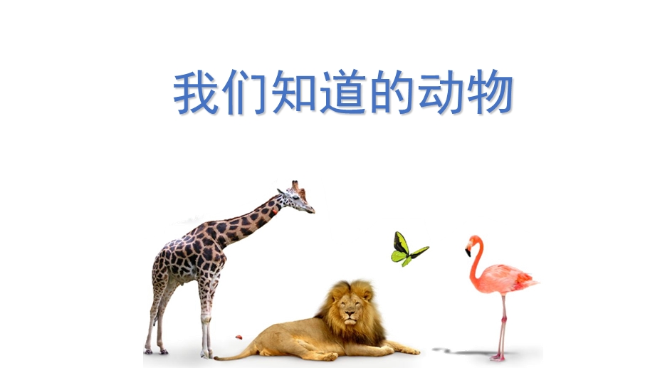 《我们知道的动物》教学课件.ppt_第1页