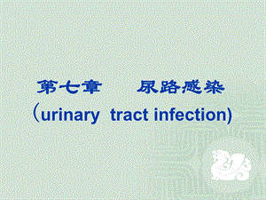 尿路感染(urinary.ppt