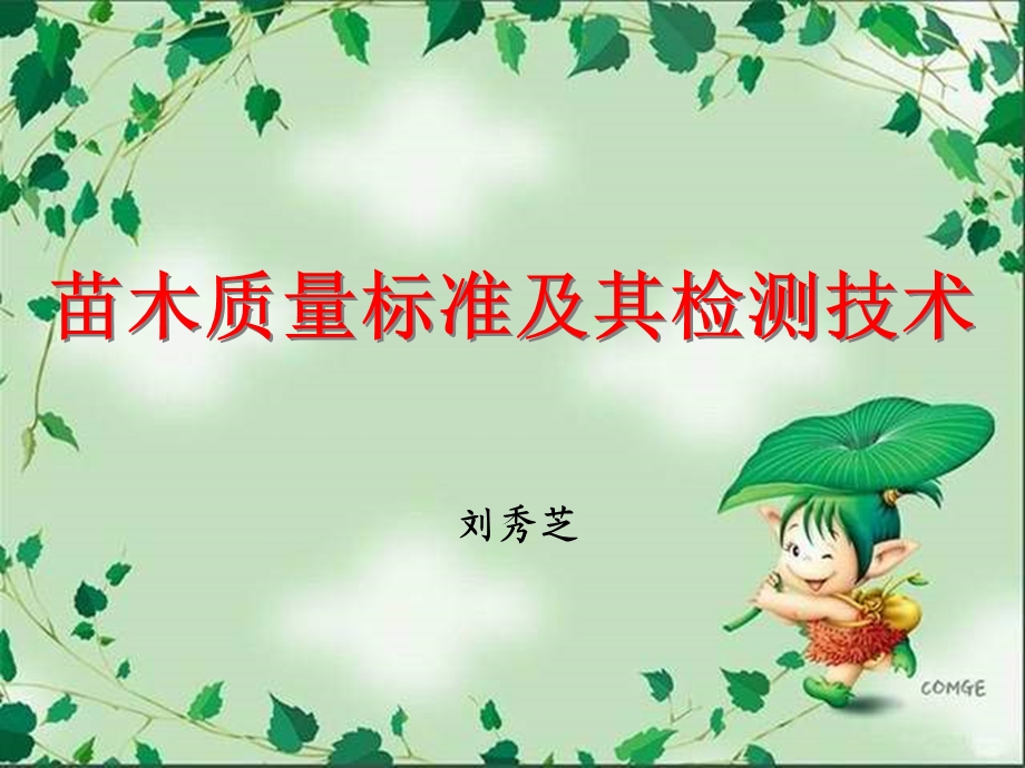 《苗木质量标准》PPT课件.ppt_第1页