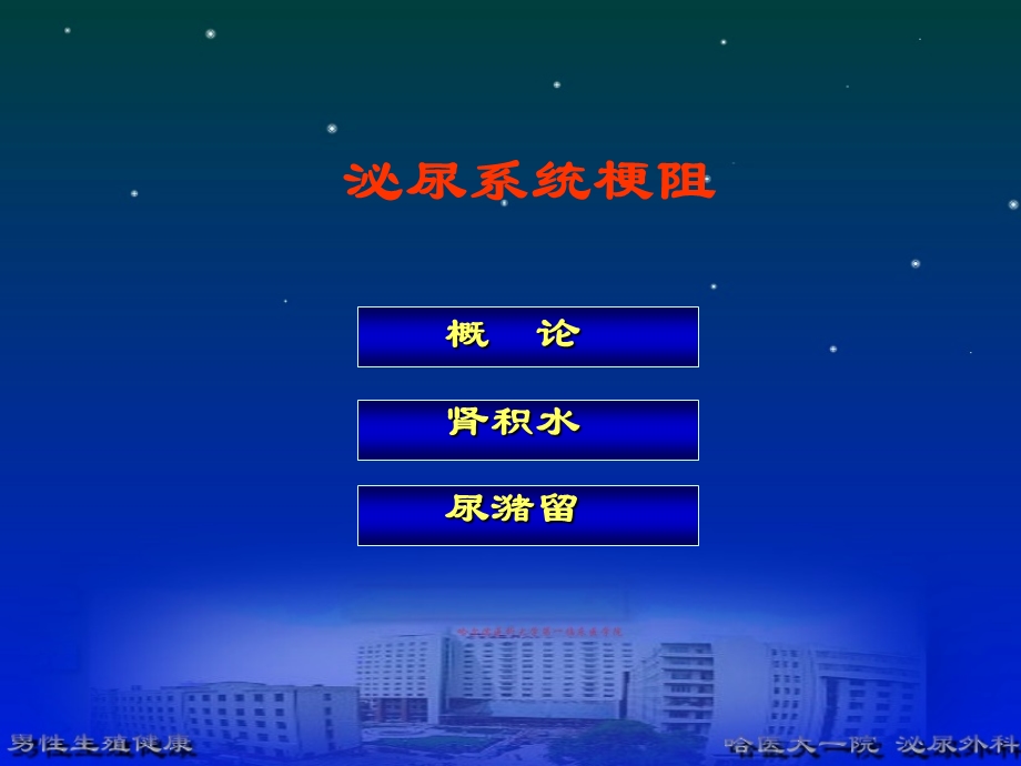 泌尿系梗阻.ppt_第2页