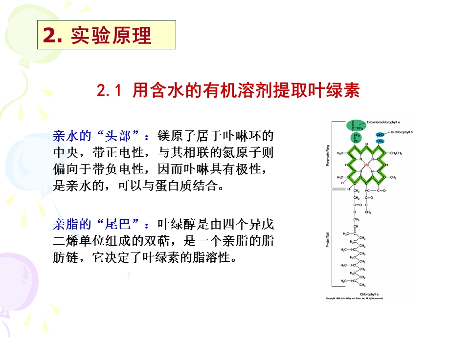 叶绿体色素的提取理化性质与含量测定.ppt_第3页