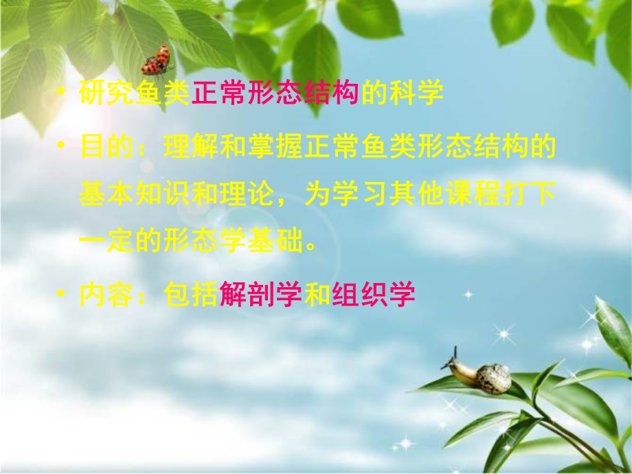 《鱼体的外部分区形》PPT课件.ppt_第2页