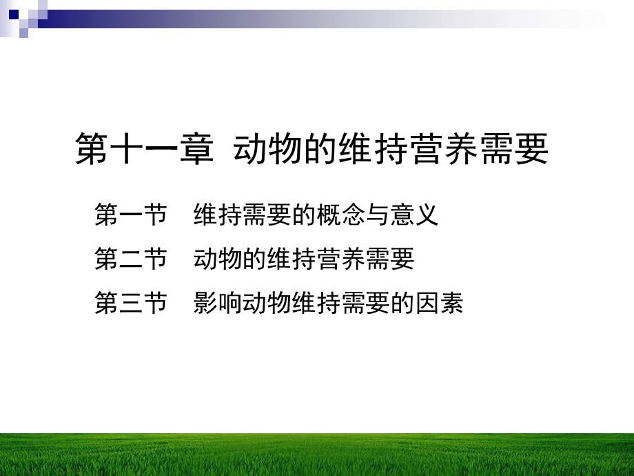 【教学课件】第十一章动物的维持营养需要.ppt_第1页