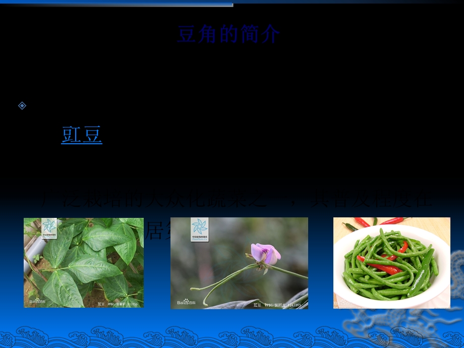 《豆角常见病虫害》PPT课件.ppt_第2页