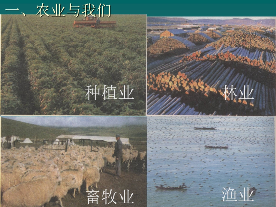 【教学课件】第二节因地制宜发展农业.ppt_第2页