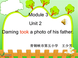 讲课Module3Unit2Damingtookaphotoofhisfather.[1].ppt