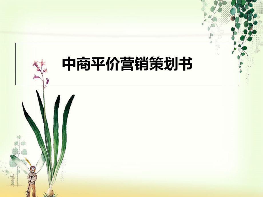 中商平价营销策划书.ppt_第1页