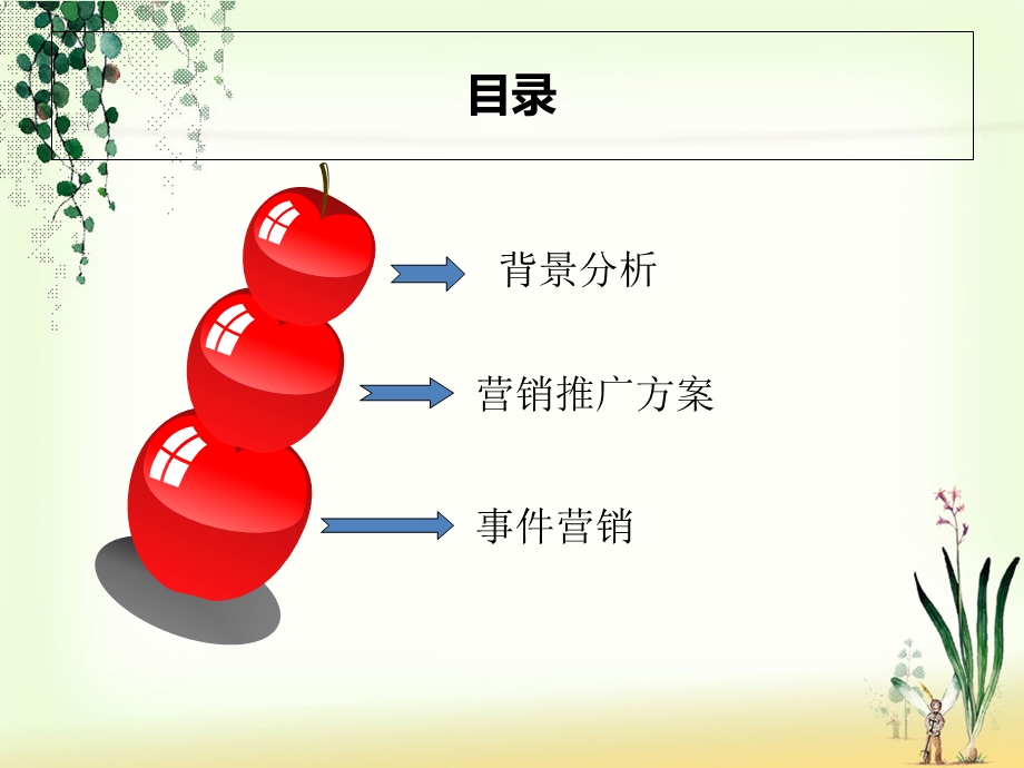 中商平价营销策划书.ppt_第2页