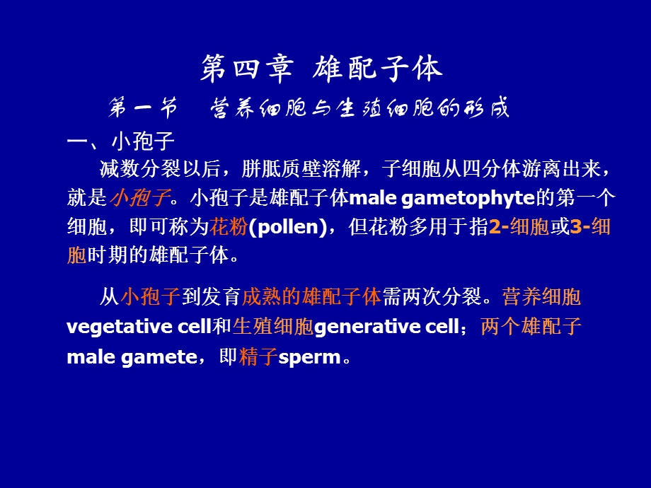 《雄配子体》PPT课件.ppt_第1页