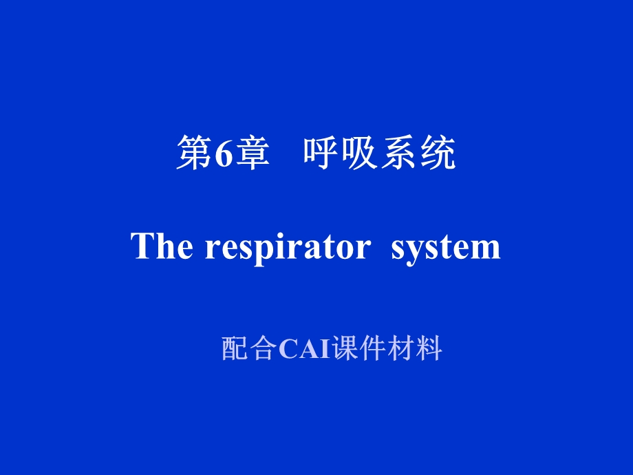 【教学课件】第6章呼吸系统Therespiratorsystem.ppt_第1页