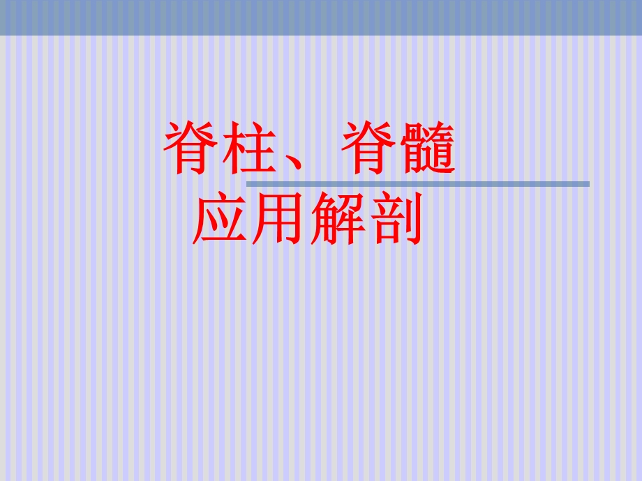 《脊柱解剖图》PPT课件.ppt_第2页