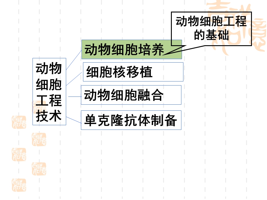 【教学课件】专题2.2动物细胞工程.ppt_第2页