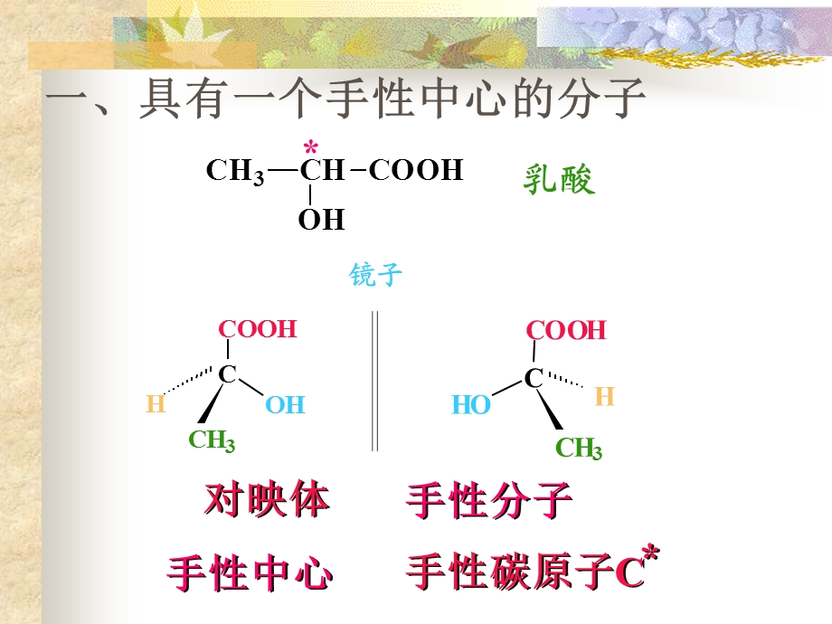 【教学课件】第3章对映异构.ppt_第3页