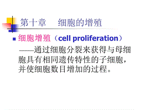 第十章细胞的增殖ppt课件.ppt