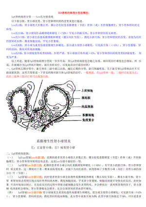 IGA肾病的病理分型及治疗.docx