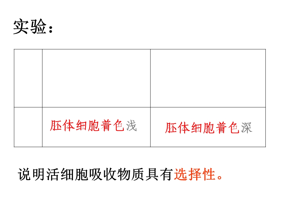 《细胞膜和细胞壁》PPT课件.ppt_第1页