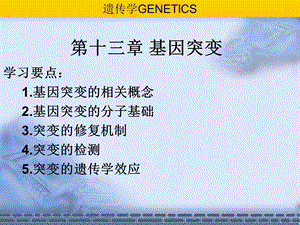 第十三部分基因突变教学课件.ppt