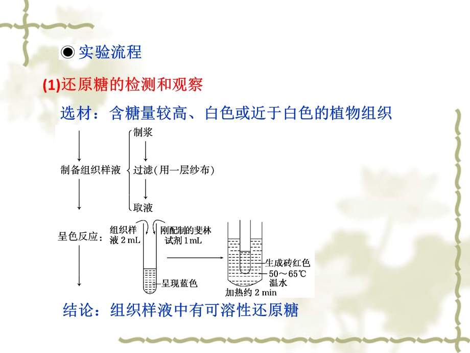 蛋白质糖类脂质的实验鉴定.ppt_第3页