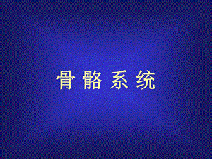 骨骼系统X线.ppt