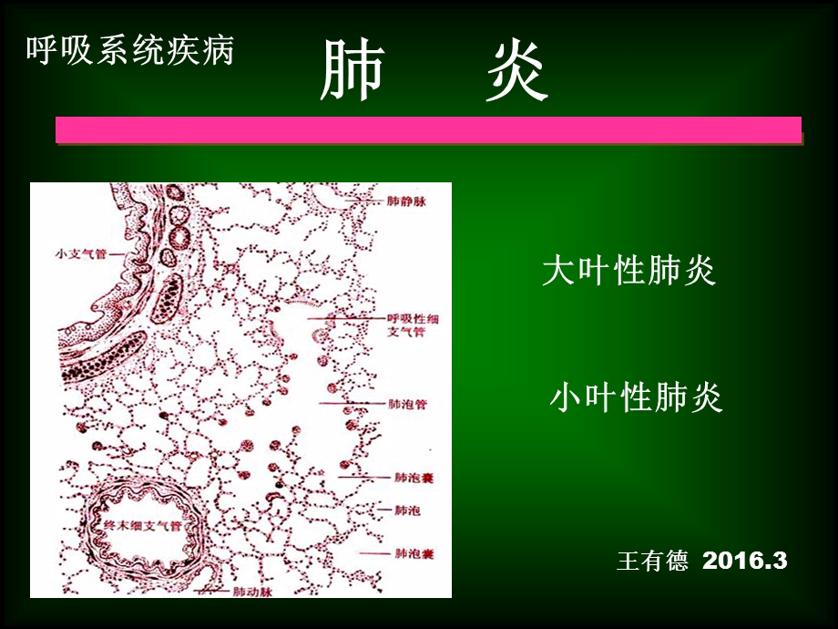 《呼吸系统疾病》ppt课件.ppt_第1页