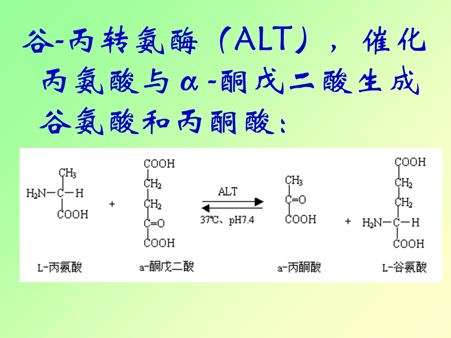 《转氨酶实验前讨论》PPT课件.ppt_第2页