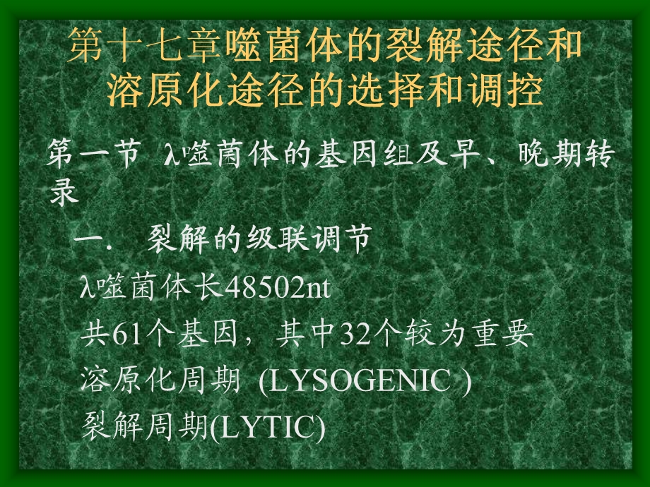 【教学课件】第十七章噬菌体的裂解途径和溶原化途径的选择和调控.ppt_第1页