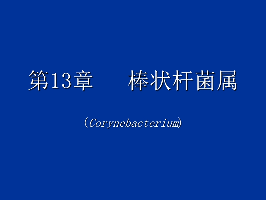 【教学课件】第13章棒状杆菌属.ppt_第1页