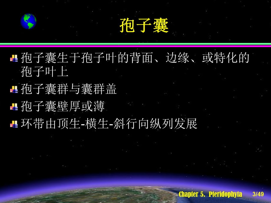 《真蕨亚门》PPT课件.ppt_第3页