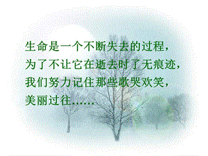 《项脊轩志》公开课.ppt