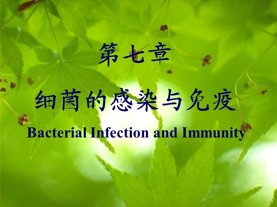 《细菌的感染和免疫》PPT课件.ppt_第1页